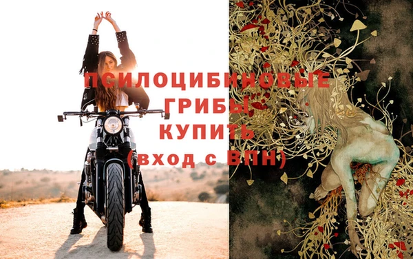 кокс Абинск